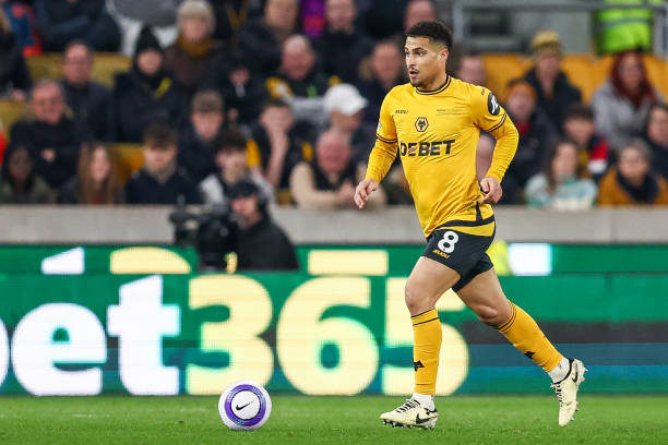 东佩的影响 东佩的影响